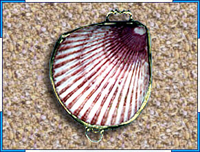 http://www.shellscraft.com/cpurse/newimages/CP0006-edited.jpg